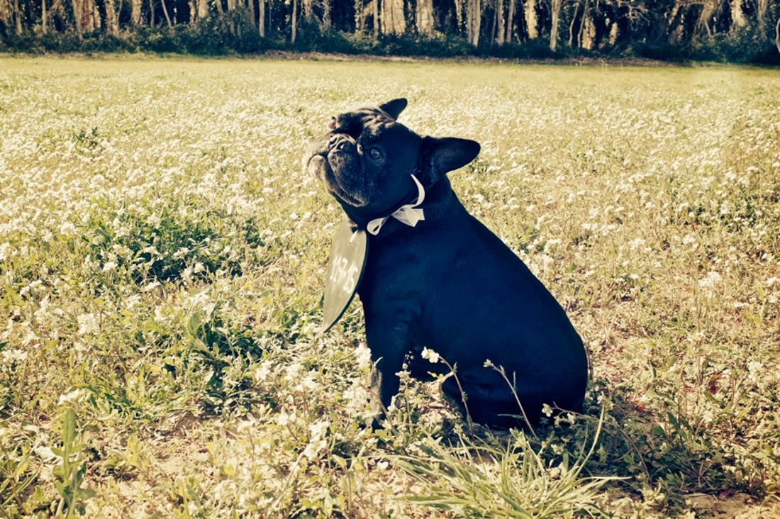 raimon_crescenti_fotografo_boda_wedding_tarragona_spain_stock-90